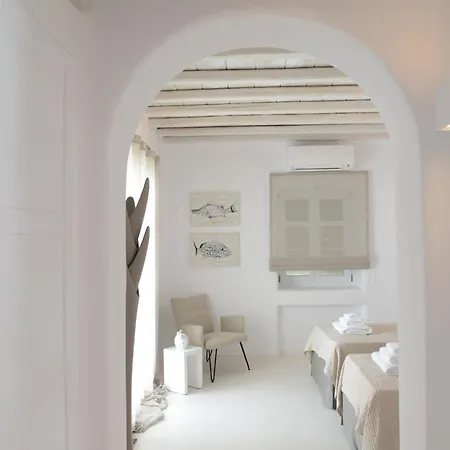 Diles & Mykonos Villa *