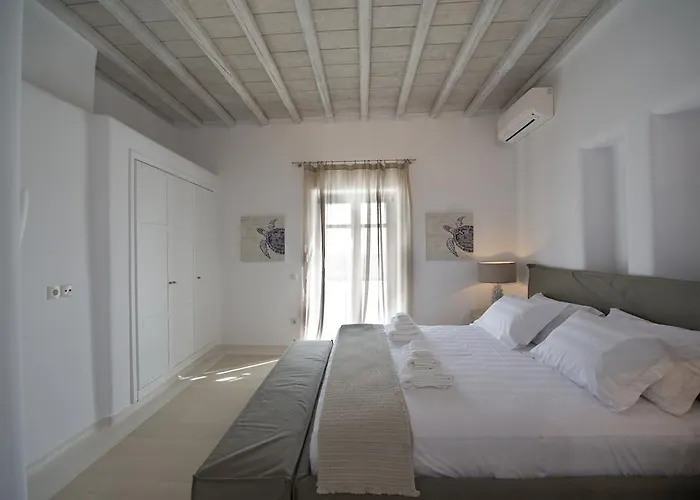 Diles & Mykonos Villa Tourlos